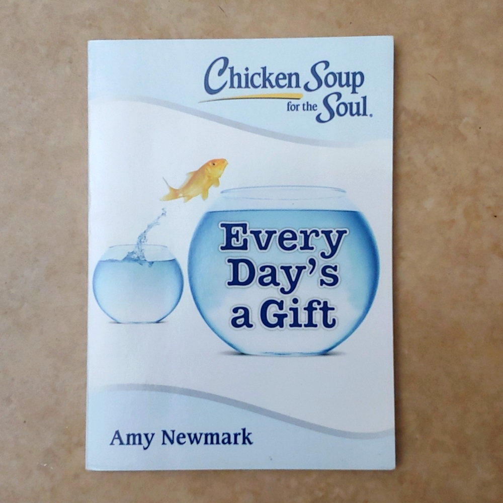 CHICKEN SOUP FOR THE SOUL * 75PG * EVERY DAY'S A GIFT * PAPERBACK